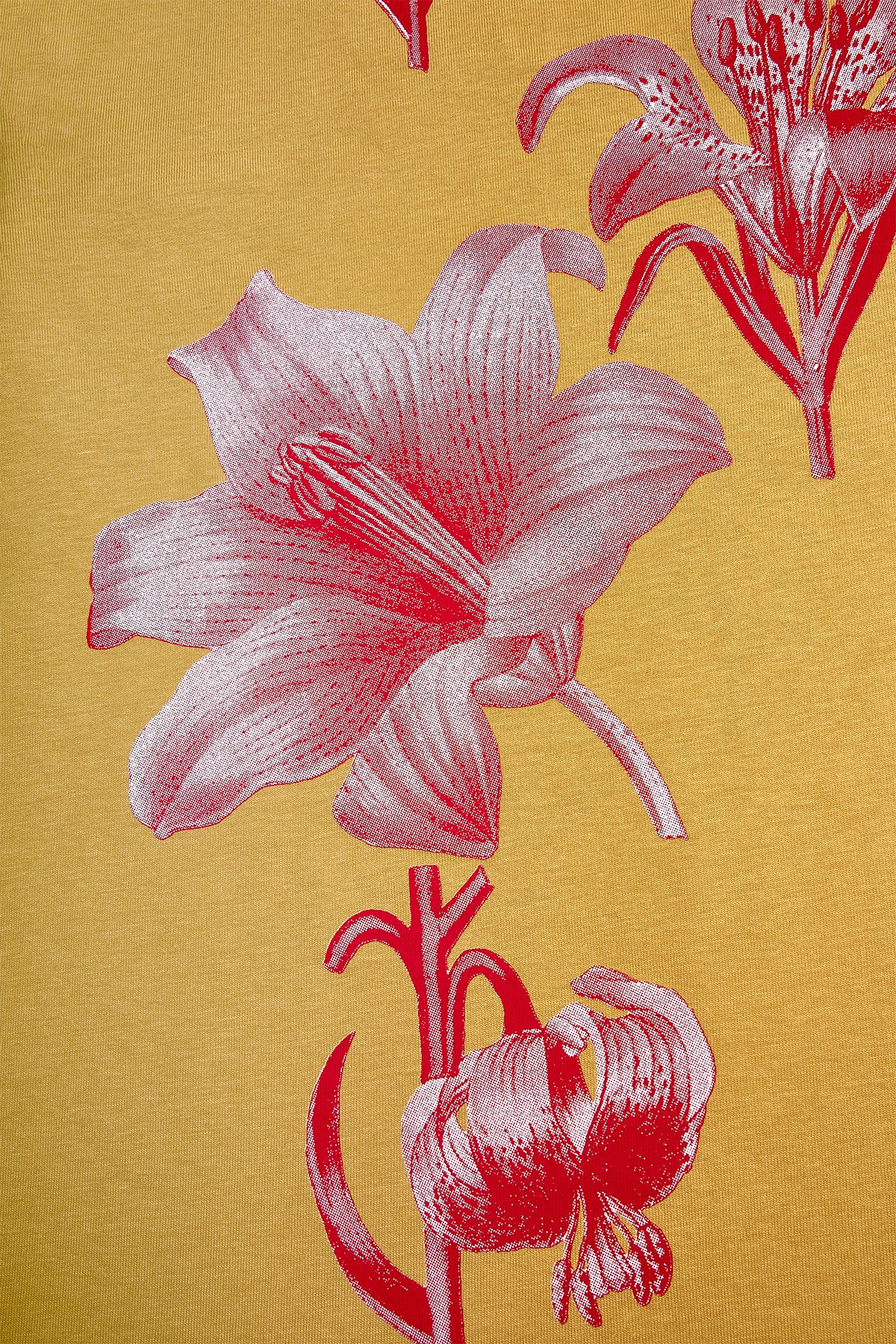Diafora Krina