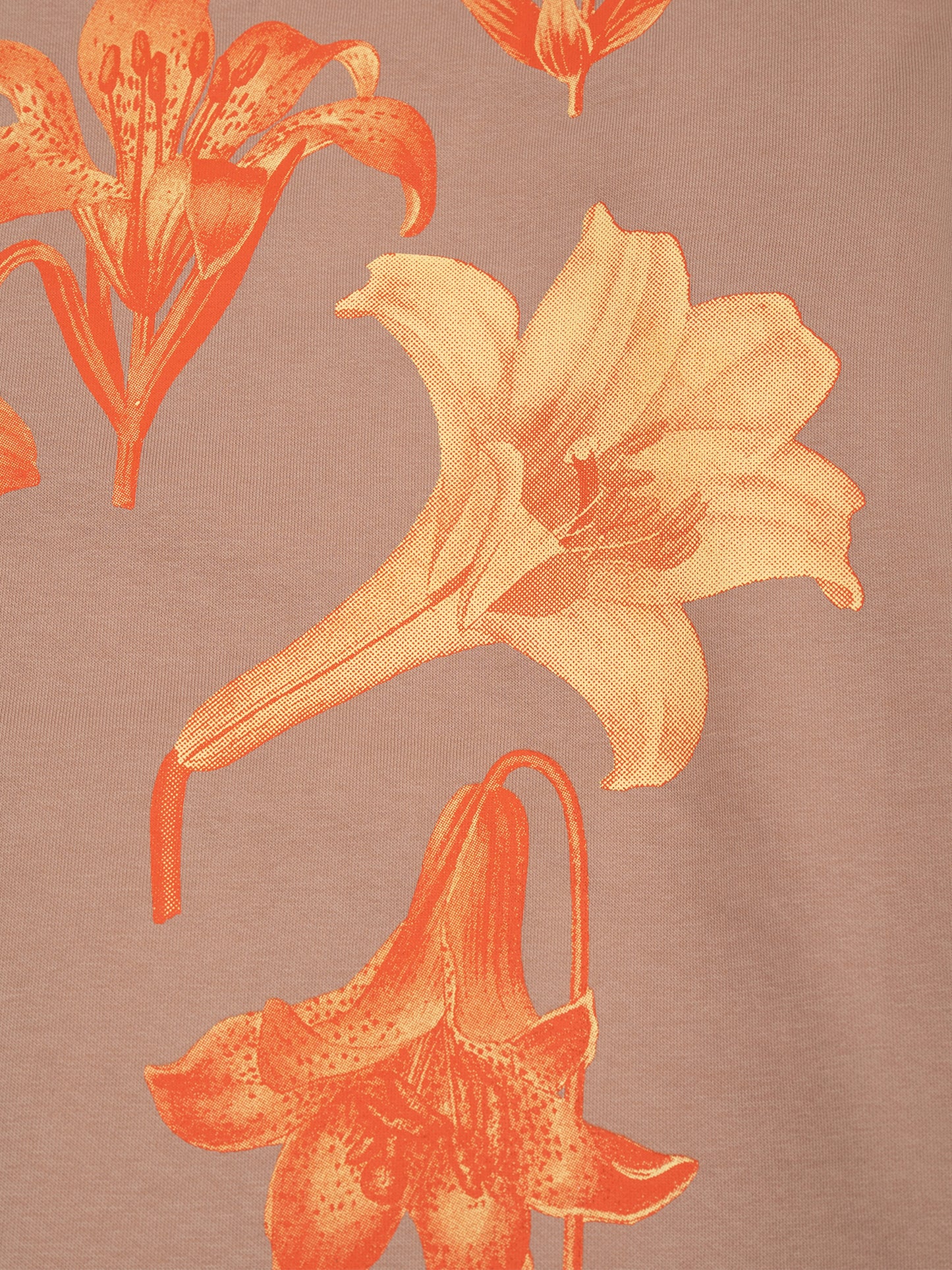 Diafora Krina Hoodie